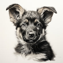 Load image into Gallery viewer, German Shepard Puppy
