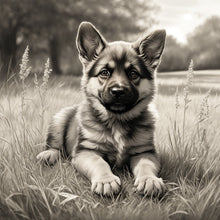 Load image into Gallery viewer, German Shepard Puppy