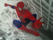 Load image into Gallery viewer, A Spiders Life Spiderman- Original