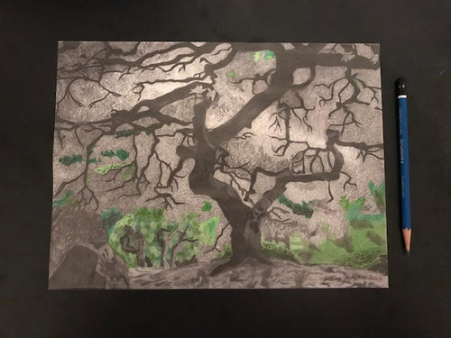 Japanese Maple- Print
