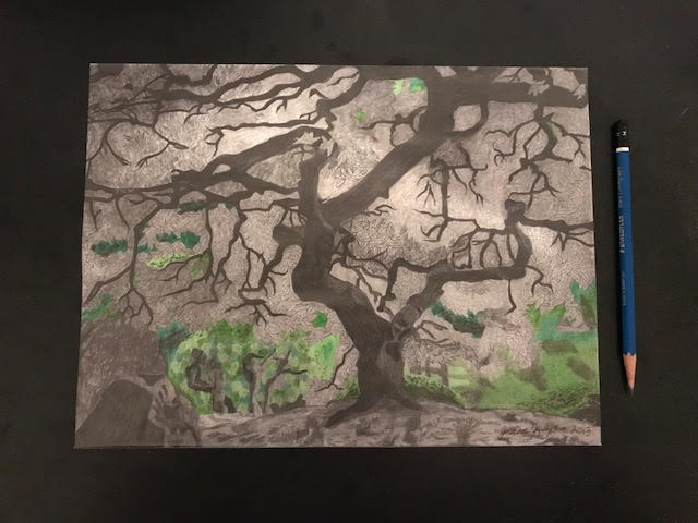 Japanese Maple- Print